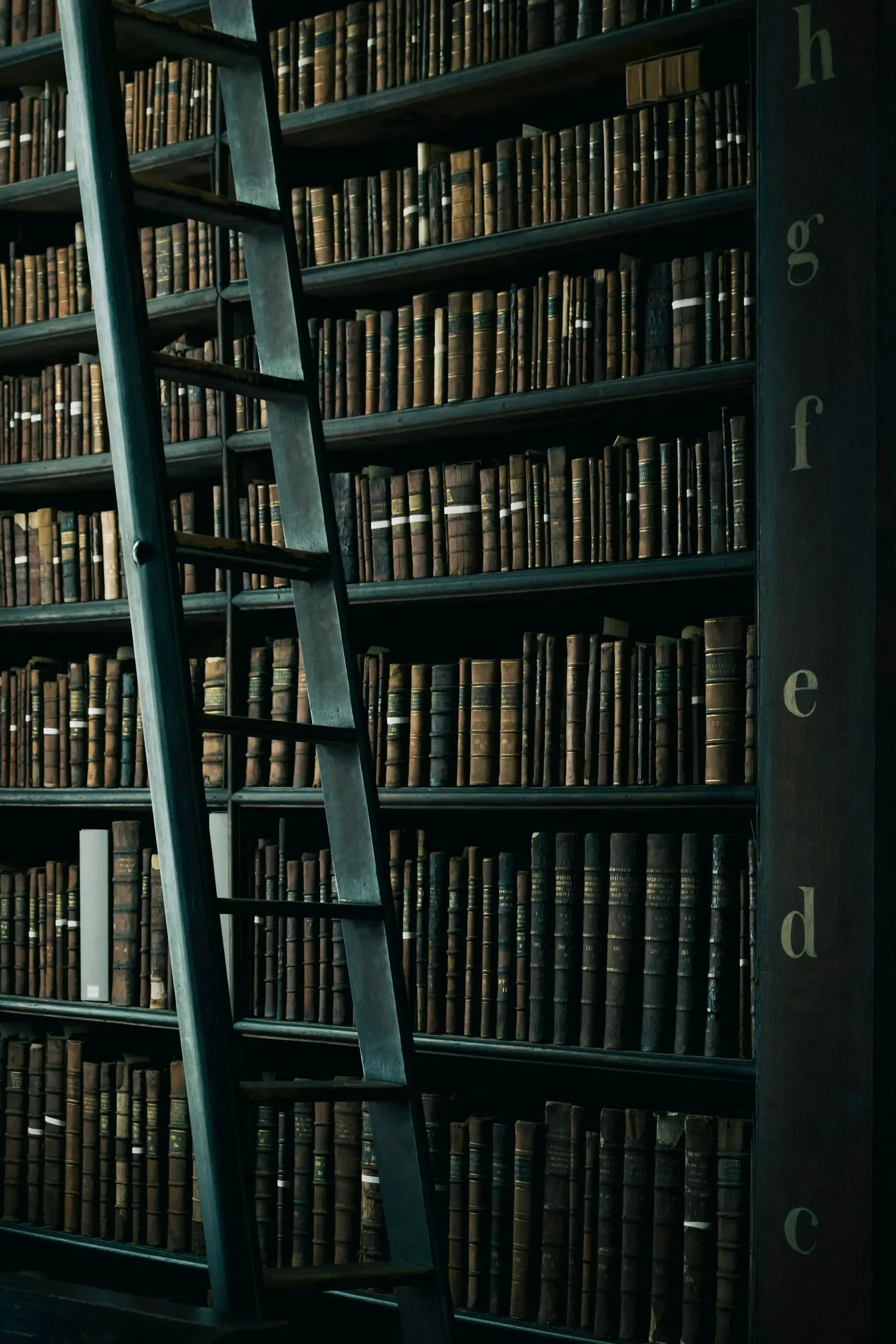 Biblioteca antigua con escalera y estanterías de libros encuadernados